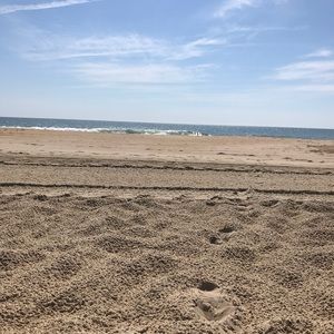 Meet your Posher, Annmarie